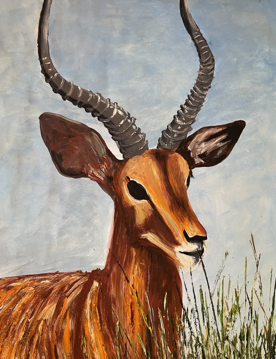 Impala Study — Oil on Paper