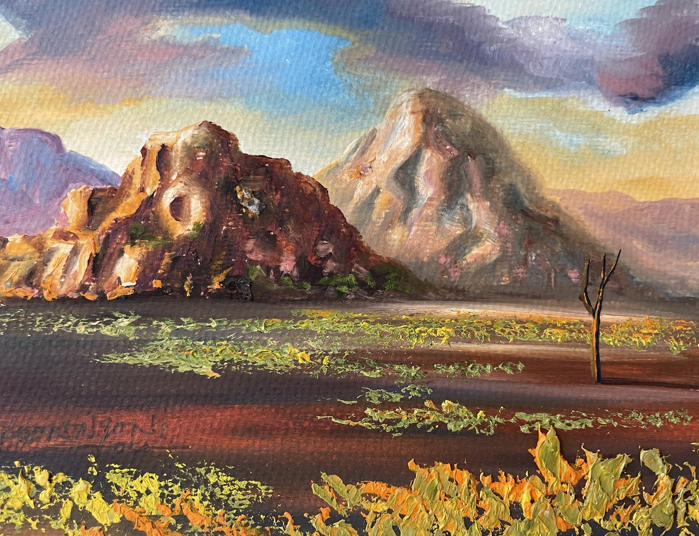 Kalahari Sunset — Oil on Paper